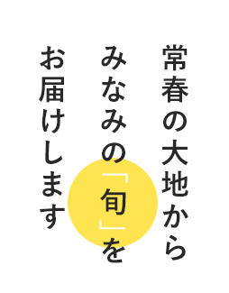 常春の大地からみなみの「旬」をお届けします