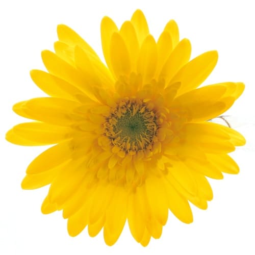 アストロン Astron